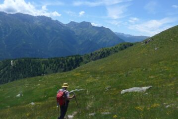 Sui bei prati del versante sud