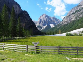 A poca distanza dal Rifugio.