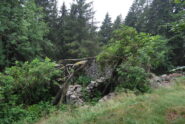 Ai ruderi di Orone, salendo al Colle della Colma sul D17