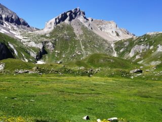 Lo spettacolo ai piedi dell' Aiguille de Bonalex dai prati dell'alpe omonima.