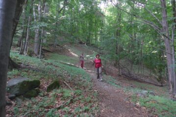 Verso Mogliasse