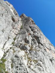 Il primo tiro
