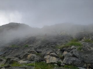 Indecisioni L1 e variante