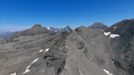 Dalla cima verso la Bessanese