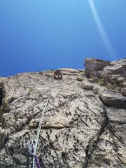 Bat sulla splendida sesta lunghezza