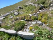 Fontana con acqua freschissima