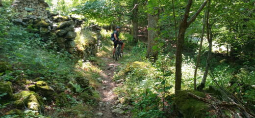Si scende in bosco su tratti ciclabili