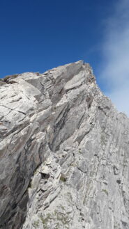 prossimi a uscire in cresta..