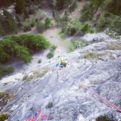Calcare compatto. L4