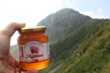 il miele per l'orso Francesco
