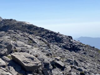 I locals del Bric Rosso