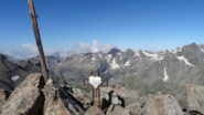 in cima