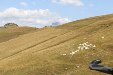 ultimo tratto di salita su SP 335 verso Colle di Sampeyre