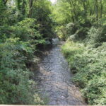 La Roggia Biraga vista verso valle dalla SP65, alla partenza da Carpignano.