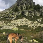Chastelberpass e Rothorn