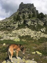 Chastelberpass e Rothorn