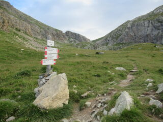 Direzione Bocchino d'Aseo (m.2292) dal Pian dell'Olio