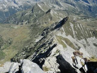 Cresta Nord vista dalla cima