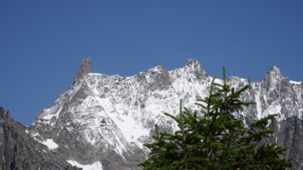 Dente del Gigante e Grand Jorasses