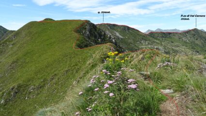 La traccia seguita verso il M.Verrobbio.