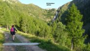 Primo tratto del percorso sulla strada carrale con bella vista sulla Cascata del Sellero o del Pizzolo.