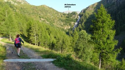 Primo tratto del percorso sulla strada carrale con bella vista sulla Cascata del Sellero o del Pizzolo.