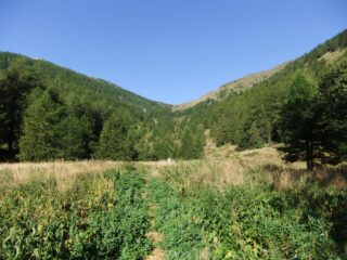 Radura nel bosco con il Col de l' Eveque in cima