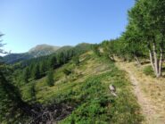 Verso il Col del l' Eveque 