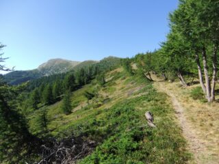 Verso il Col del l' Eveque 