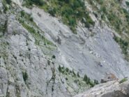 La frana che interrompe il sottostante Sentiero degli Alpini