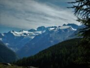 Scendendo, nella luce del pomeriggio.