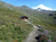 il nuovo rifugio!!