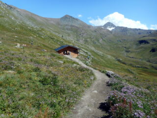 il nuovo rifugio!!