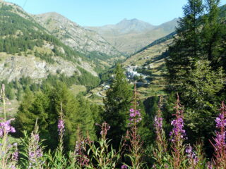 la sotto Le Roux