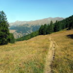 in salita meglio seguire il sentiero che sale più dolce verso la Collette de Gilly