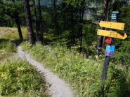 le indicazioni non mancano