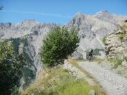 sterrato di salita, con tratti sostenuti, al Colle della Rho