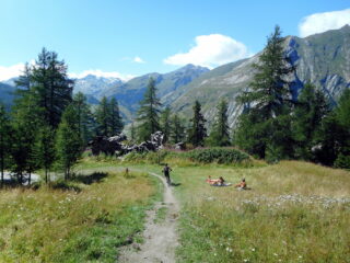 più in basso tutto più semplice!