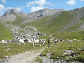 verso il Colle della Rho, Punta Nera sullo sfondo