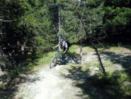 lungo il facile percorso dell'easy downhill nella parte bassa