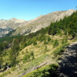 GR58 verso il col du Tronchet semplicemente splendido!  