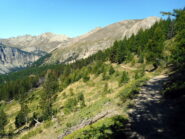 GR58 verso il col du Tronchet semplicemente splendido!  