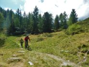 Tratti facili nelle radure