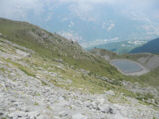 pecore verso il Lago Piccolo