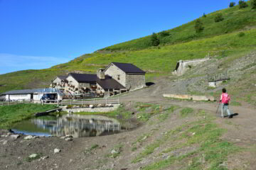 Alpe Pesse Desot (m 2009)