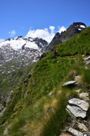Tratto del sentiero sopra il Lac de Fond