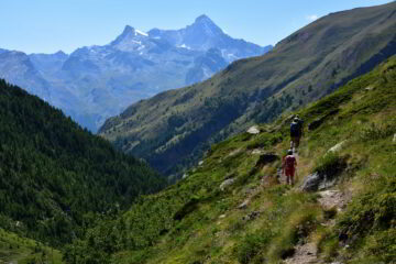 Scendendo verso Gimillan sul sentiero 