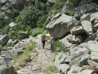 salendo alla Croce dell'Arolley