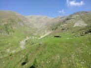 Salendo tra verdi pascoli