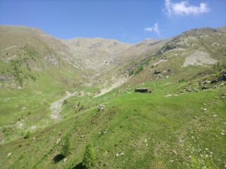 Salendo tra verdi pascoli